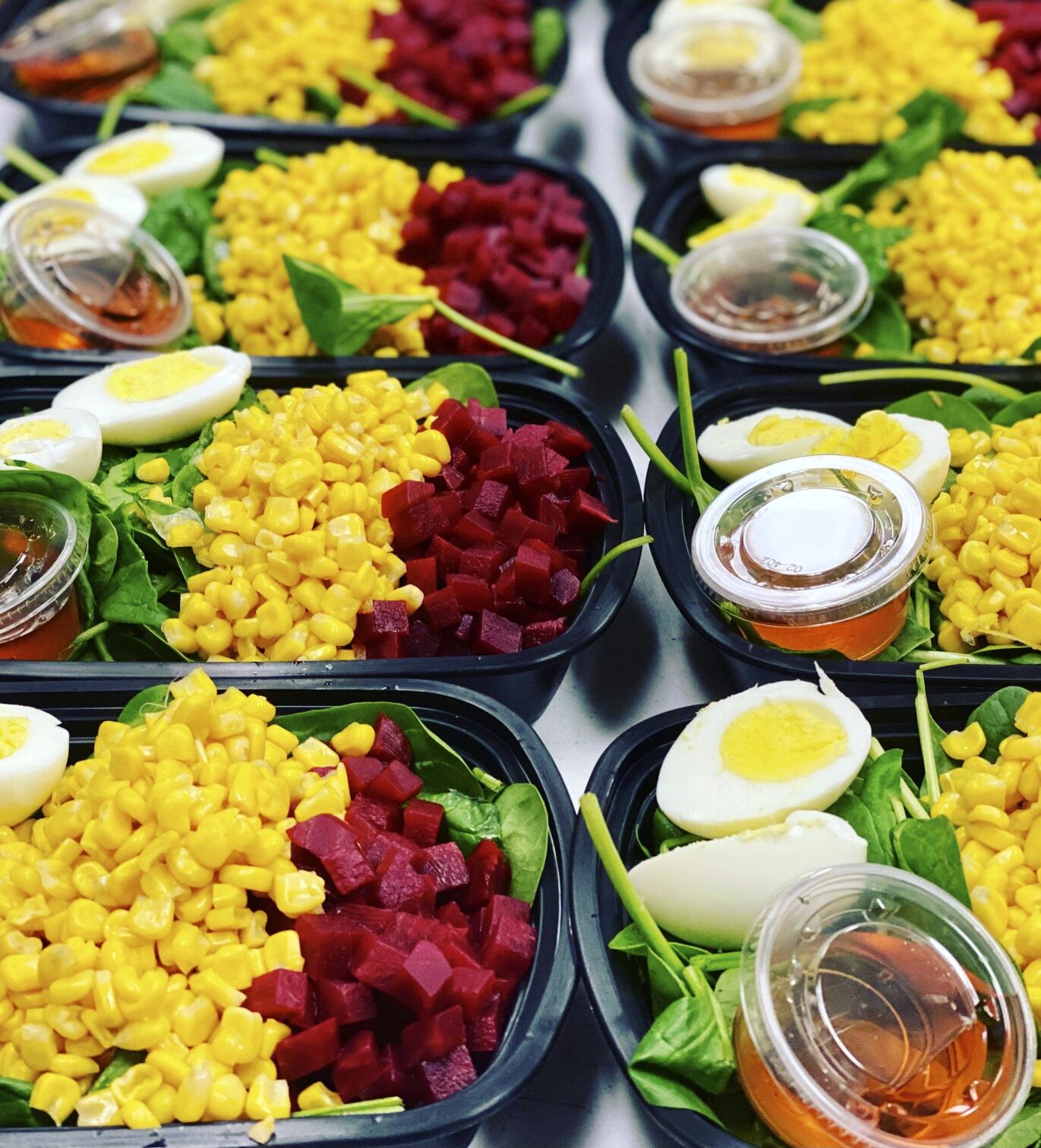 Fit Meals